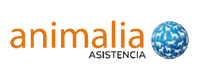 Animalia - Asistencia